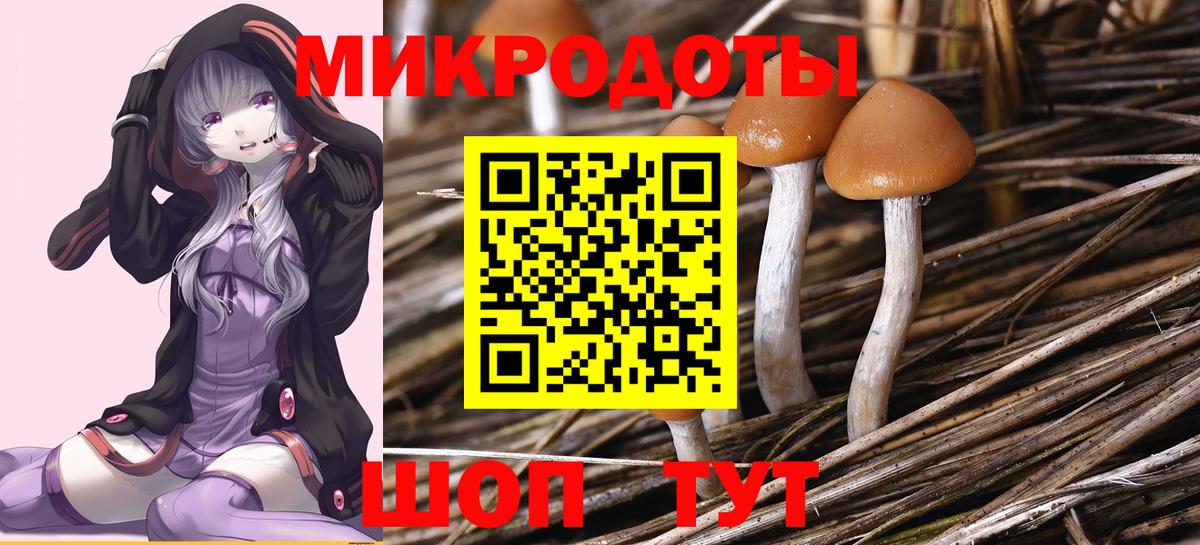 Псилоцибиновые грибы MAGIC MUSHROOMS Саяногорск