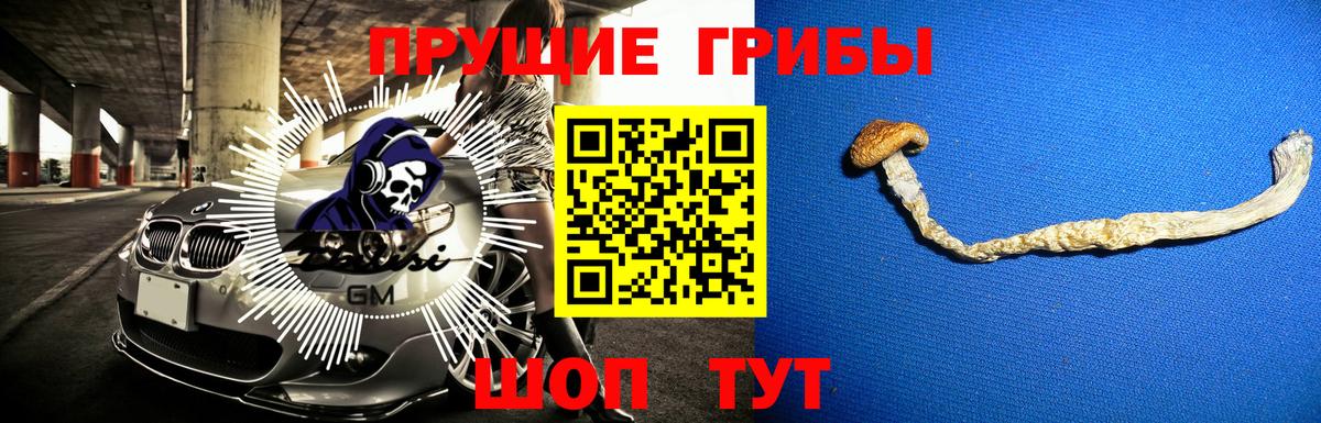Саяногорск  Галлюциногенные грибы мицелий  Вход с VPN 